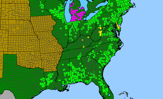 The range of Toxicodendron vernix